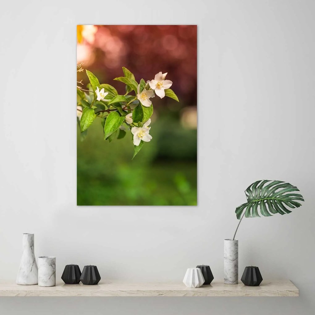 Gario Plagát Jasmínové kvety Farba rámu: Bez rámu, Rozmery: 40 x 60 cm