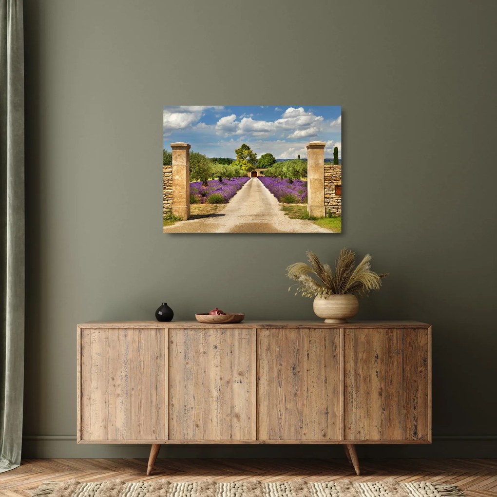 Sklenený obraz - Levanduľové cesty (70x50 cm)