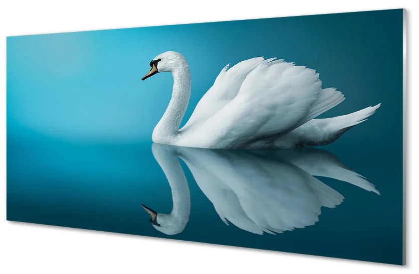 Nástenný panel  Swan vo vode 140x70 cm