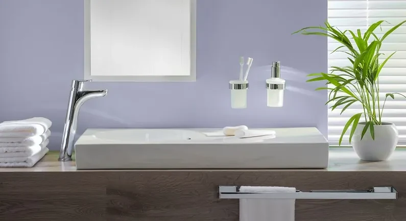 Erga NATURA, držiak na WC papier s krytom na stenu, chrómová, ERG-04313