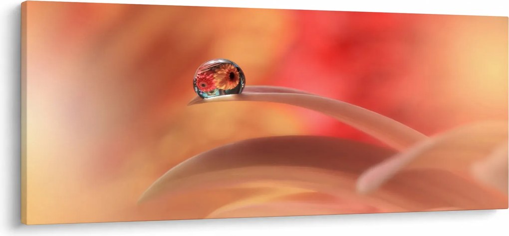 Obraz kvetinové kvapky rosy (120x50 cm)