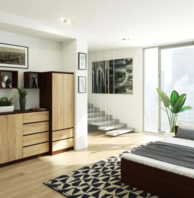 Skriňa STAR S 60 cm 2D 2SZ wenge / sonoma