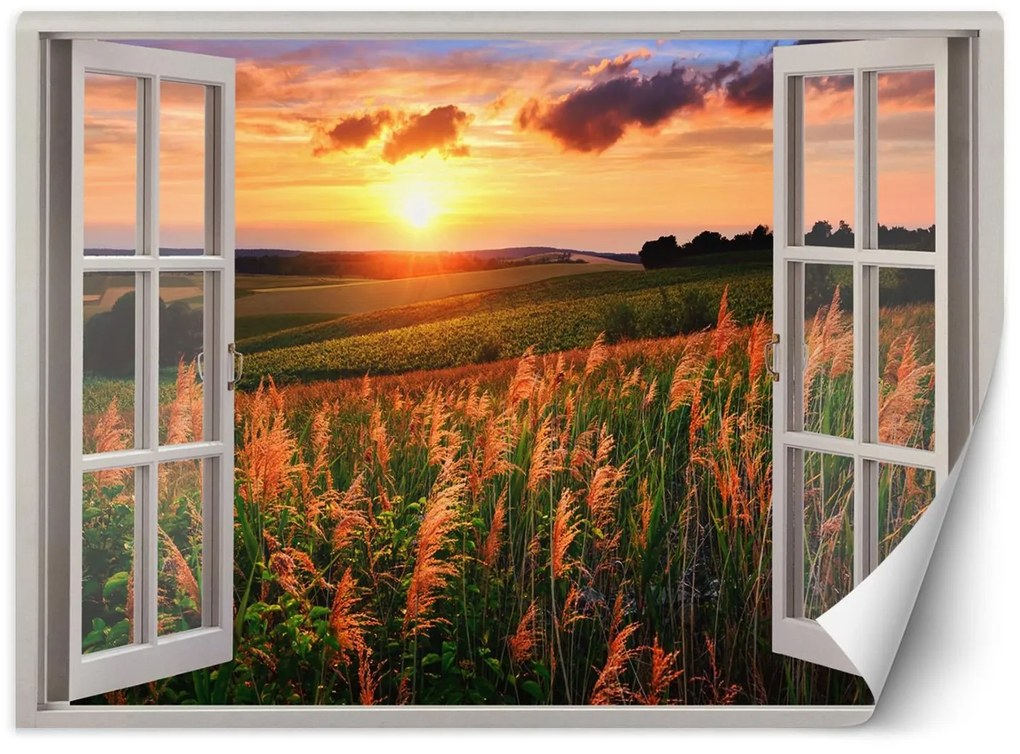 Gario Fototapeta Okno - pohľad na západ slnka nad lúkou Materiál: Vliesová, Rozmery: 280 x 200 cm