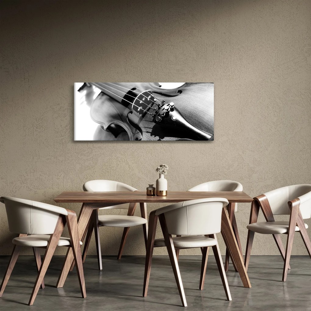 Obraz - Husle (120x50 cm)
