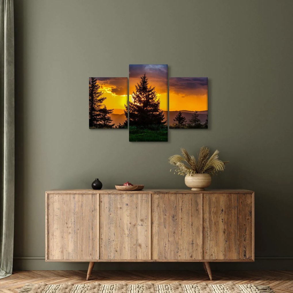 Obraz - ihličnany (90x60 cm)