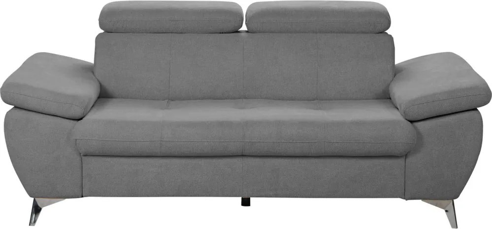 Dvojsedák Gisele, stredne šedá