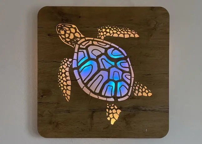 Led obraz Korytnačka RGBW