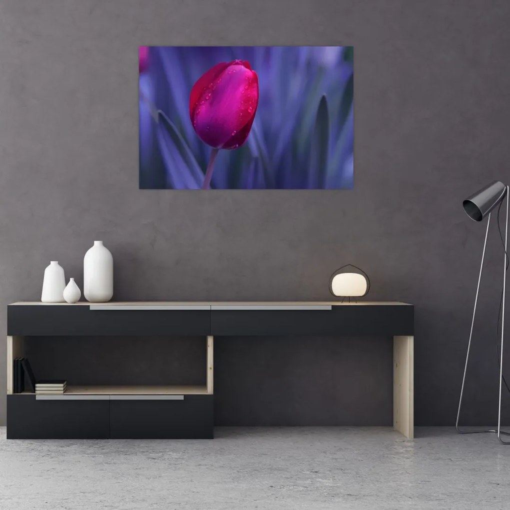 Obraz pupete tulipánu (90x60 cm)