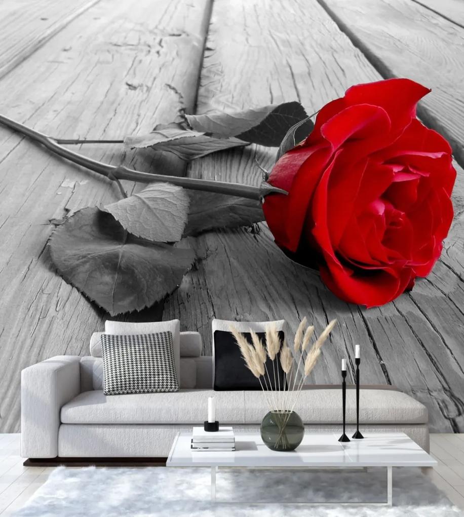 Fototapeta, Červené květy růží Dřevěná tyč - 150x150 cm