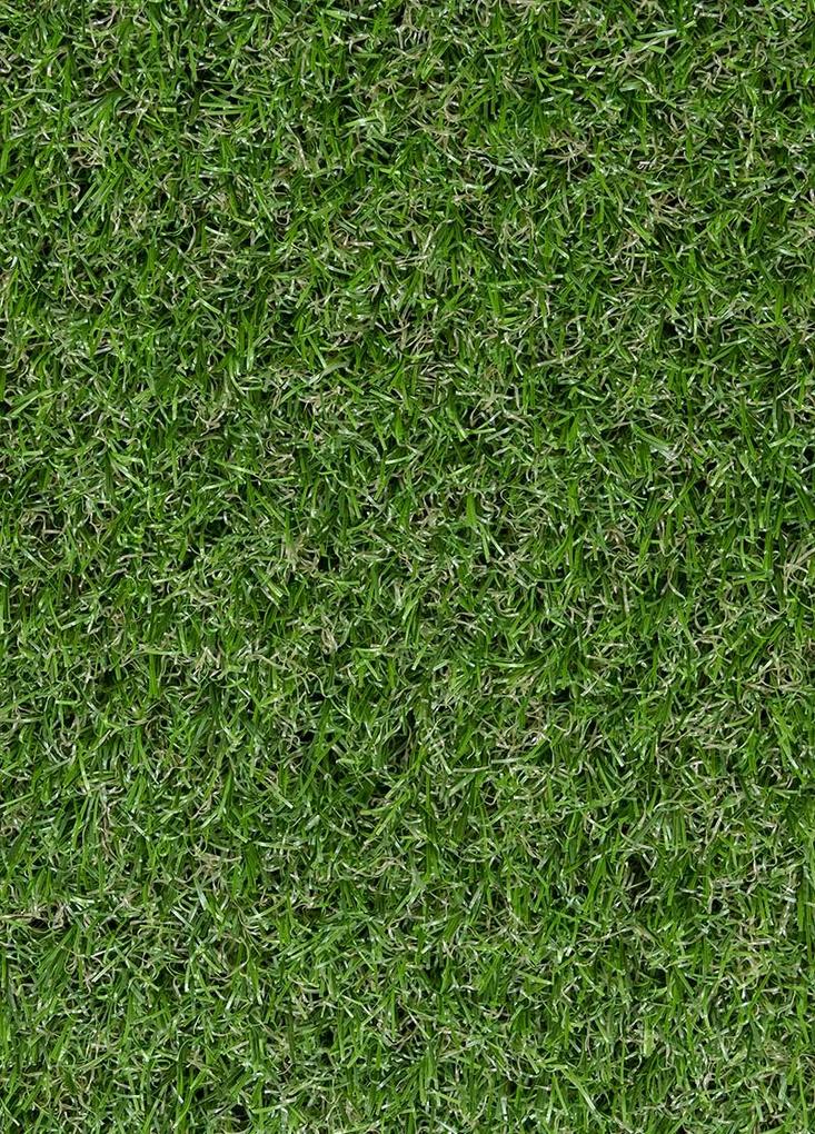 Koberce Breno  Umelá tráva GIARDINO, šíře role 200 cm