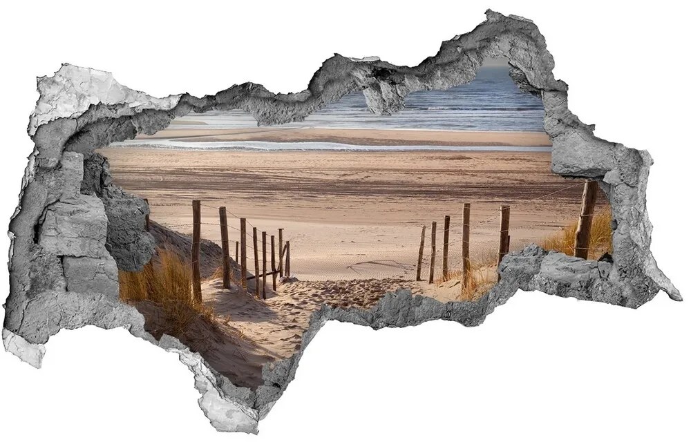 Nálepka fototapeta 3D výhľad Pobrežné duny nd-b-75901490