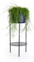 Ent pot stand medium XLBoom