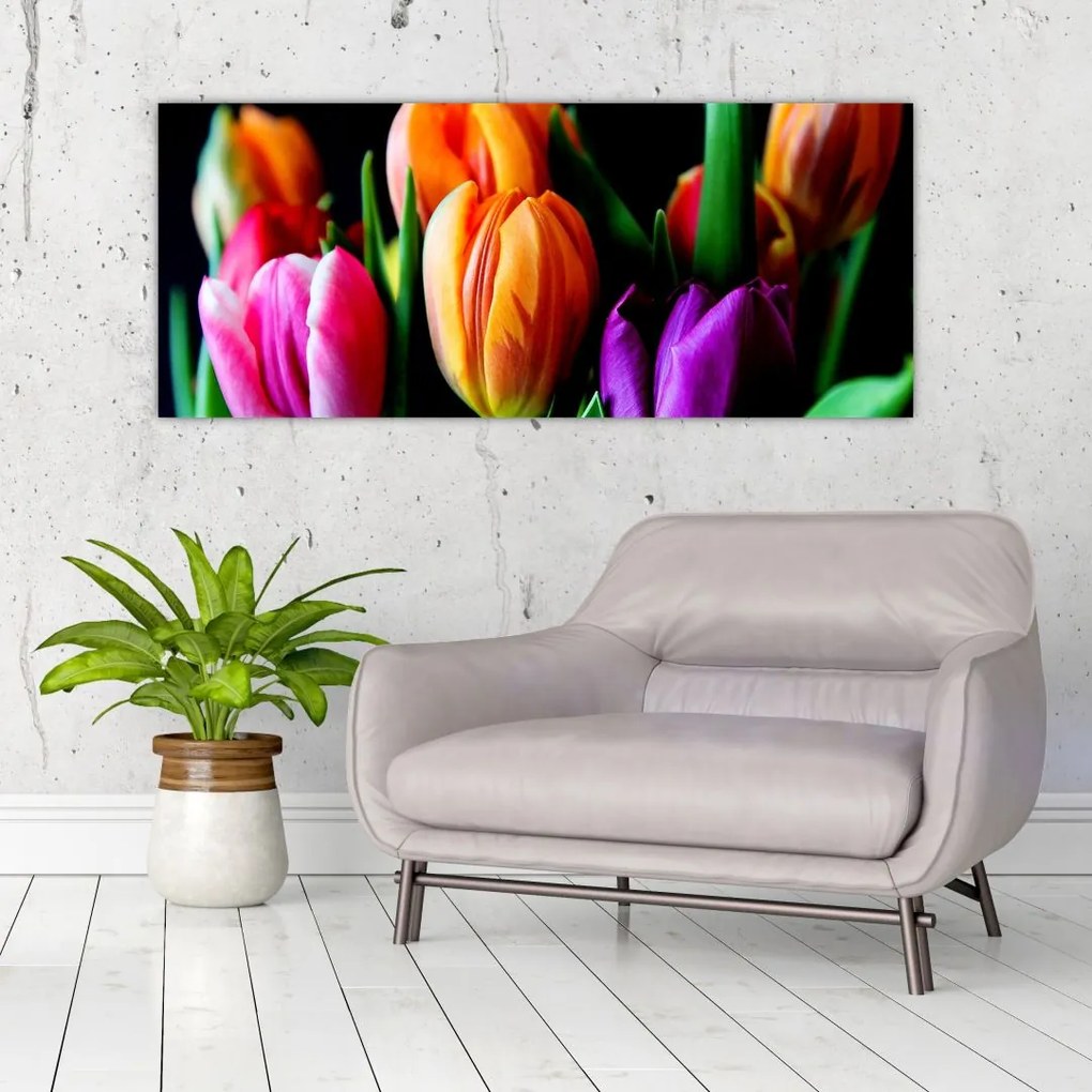 Obraz tulipánov na čiernom pozadí (120x50 cm)