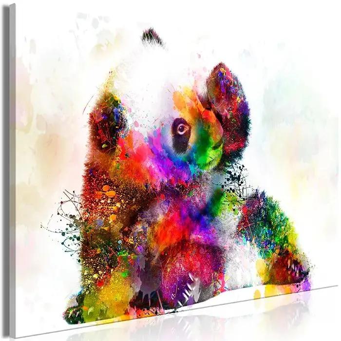 Obraz - Little Panda (1 Part) Wide Veľkosť: 60x40, Verzia: Premium Print