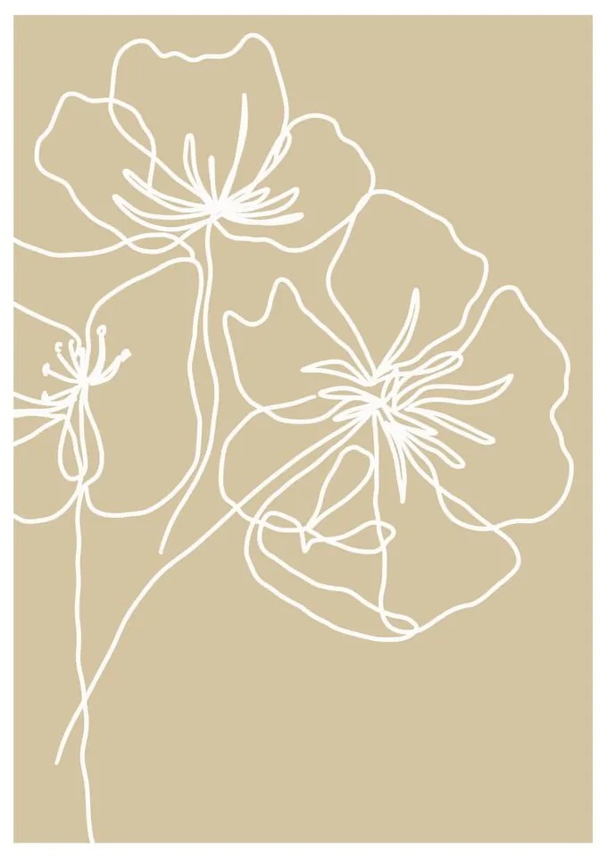 Plagát 29x41 cm White Poppy – Veronika Boulová