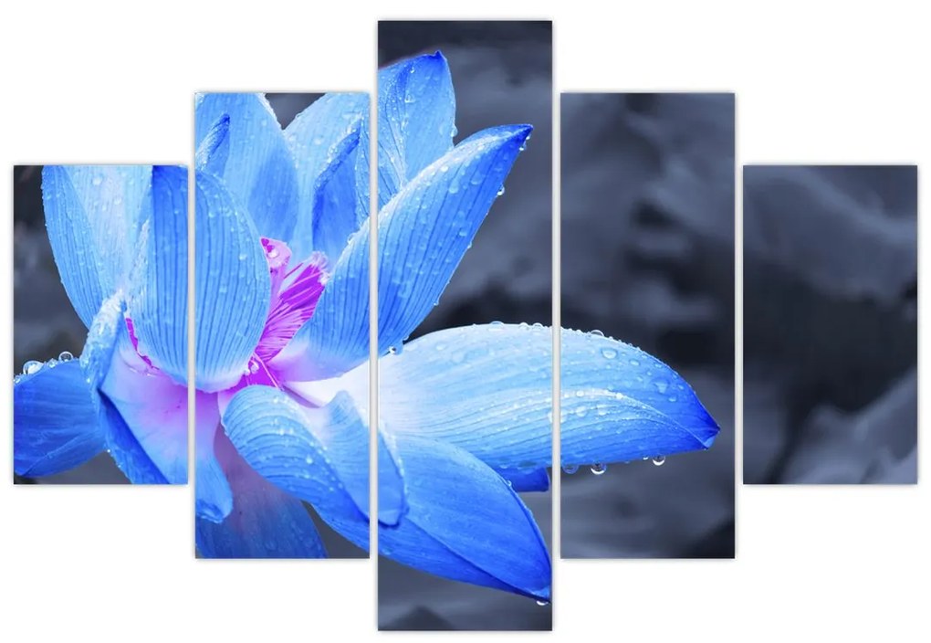 Obraz kvetu v detaile (150x105 cm)