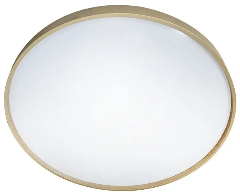 LED Stmievateľné stropné svietidlo DRINA LED/36W/230V 2700-6500K +dálkové ovládanie