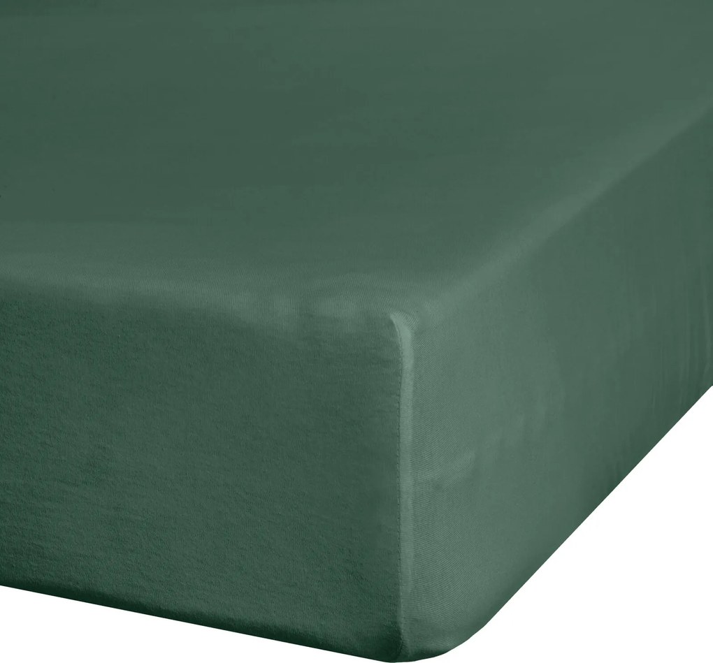 JERSEY PRESTIERADLO JERSEY3 220X240 CM TMAVOZELENÉ