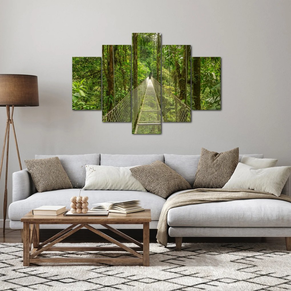 Obraz - Závesný most (150x105 cm)