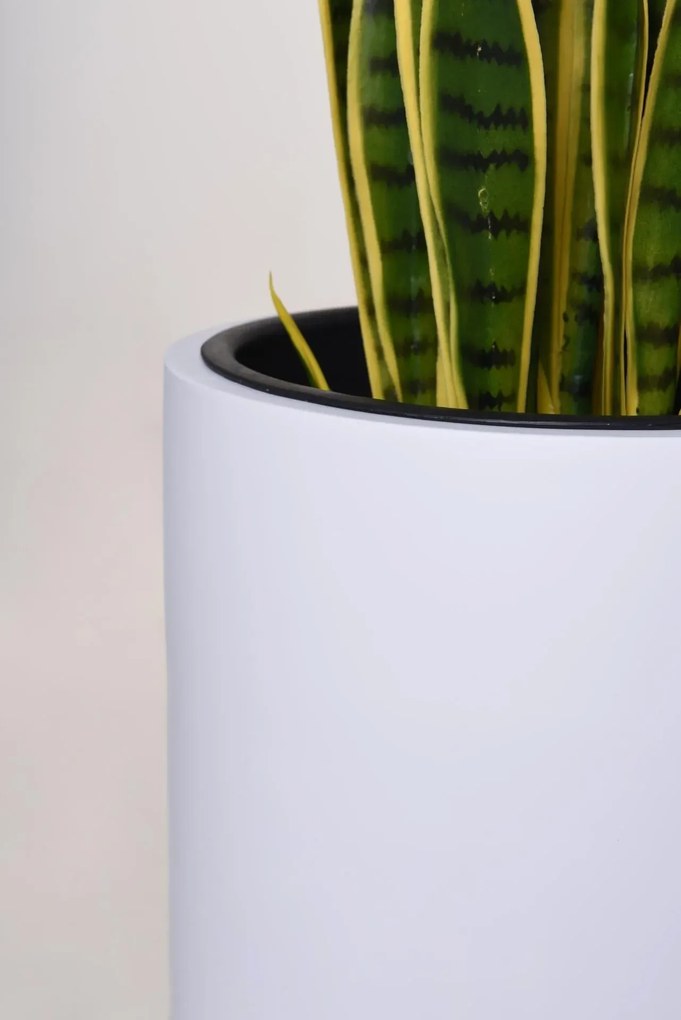 Kvetináč SOLERIO, výška 80 cm, sklolaminát, biely