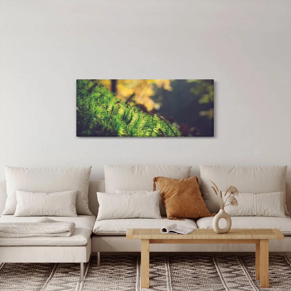 Obraz machu s hubou (120x50 cm)