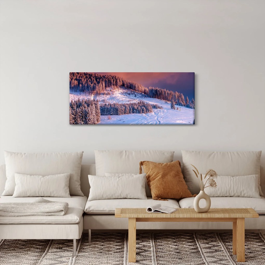 Obraz zimnej krajiny (120x50 cm)