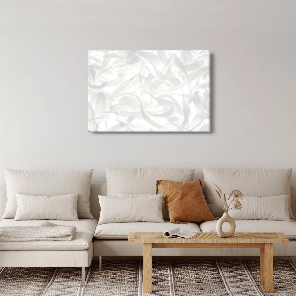 Obraz - Okvetné lístky (90x60 cm)