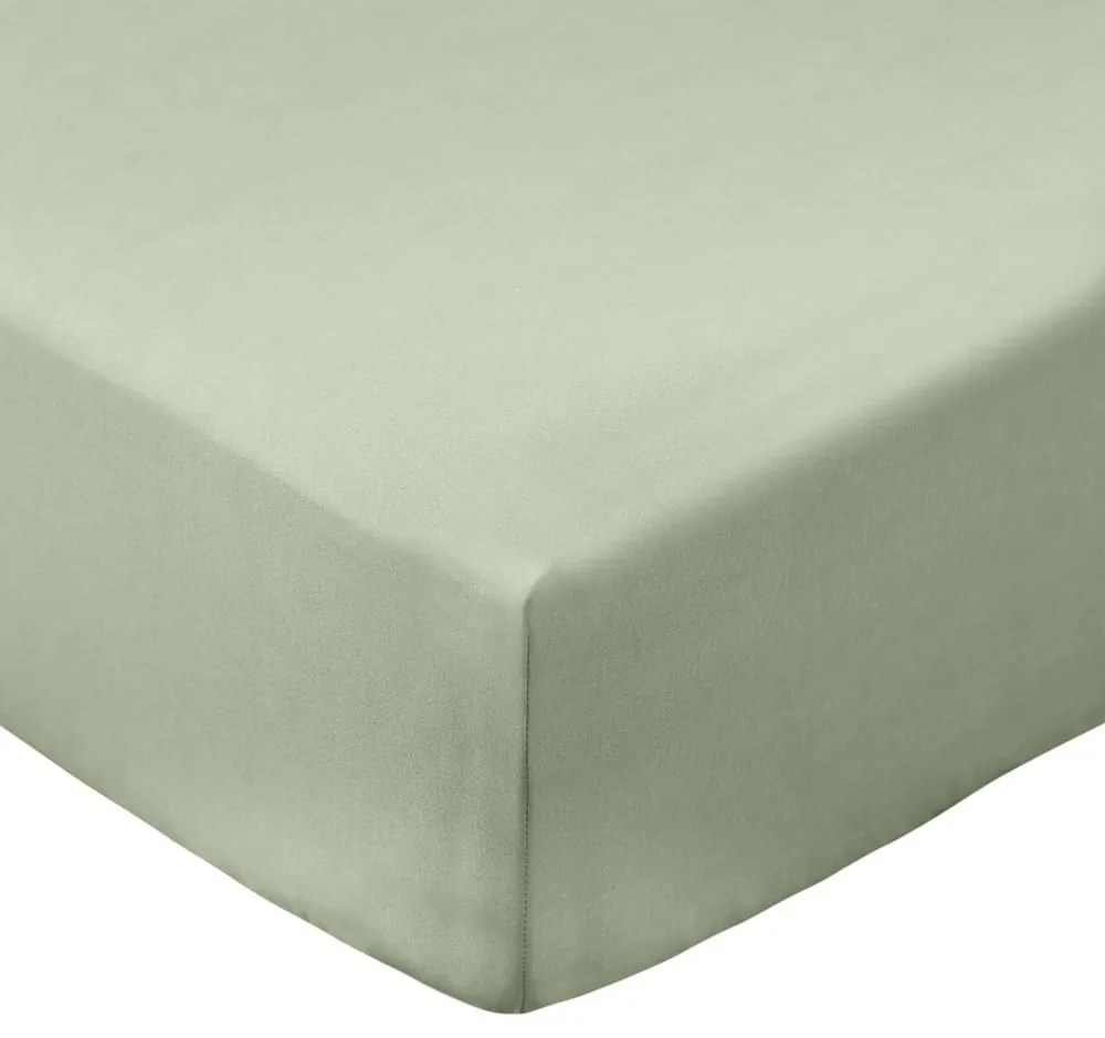 Zelená napínacia plachta z bavlneného perkálu 150x200 cm Cotton Percale – Bianca