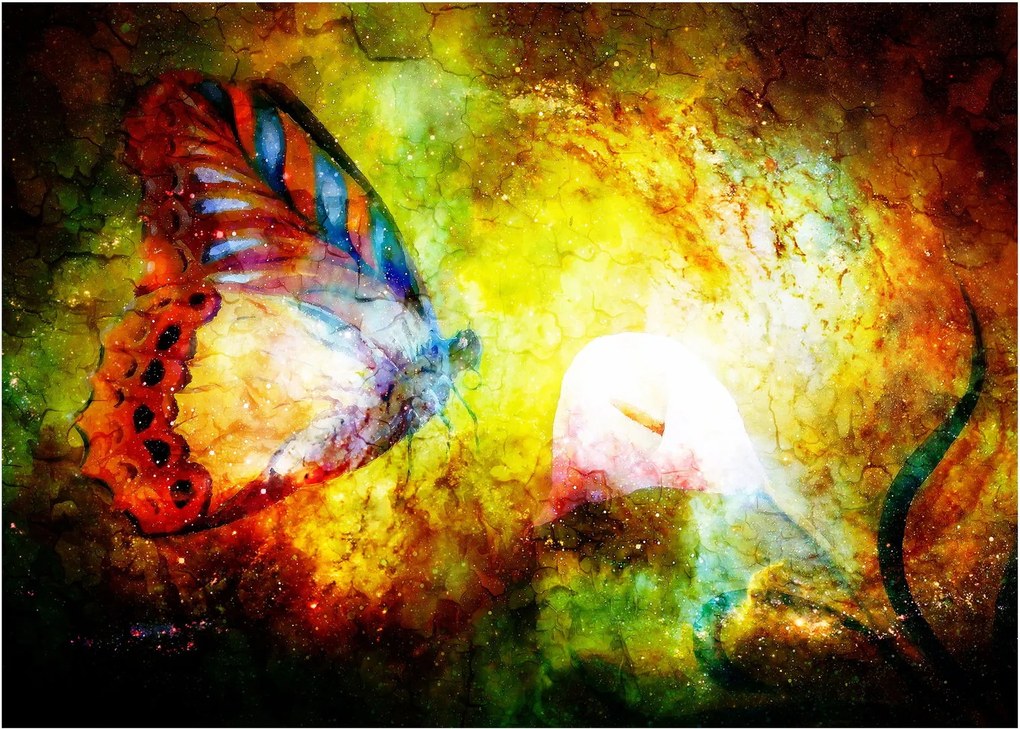Obraz - Kozmický motýľ (70x50 cm)
