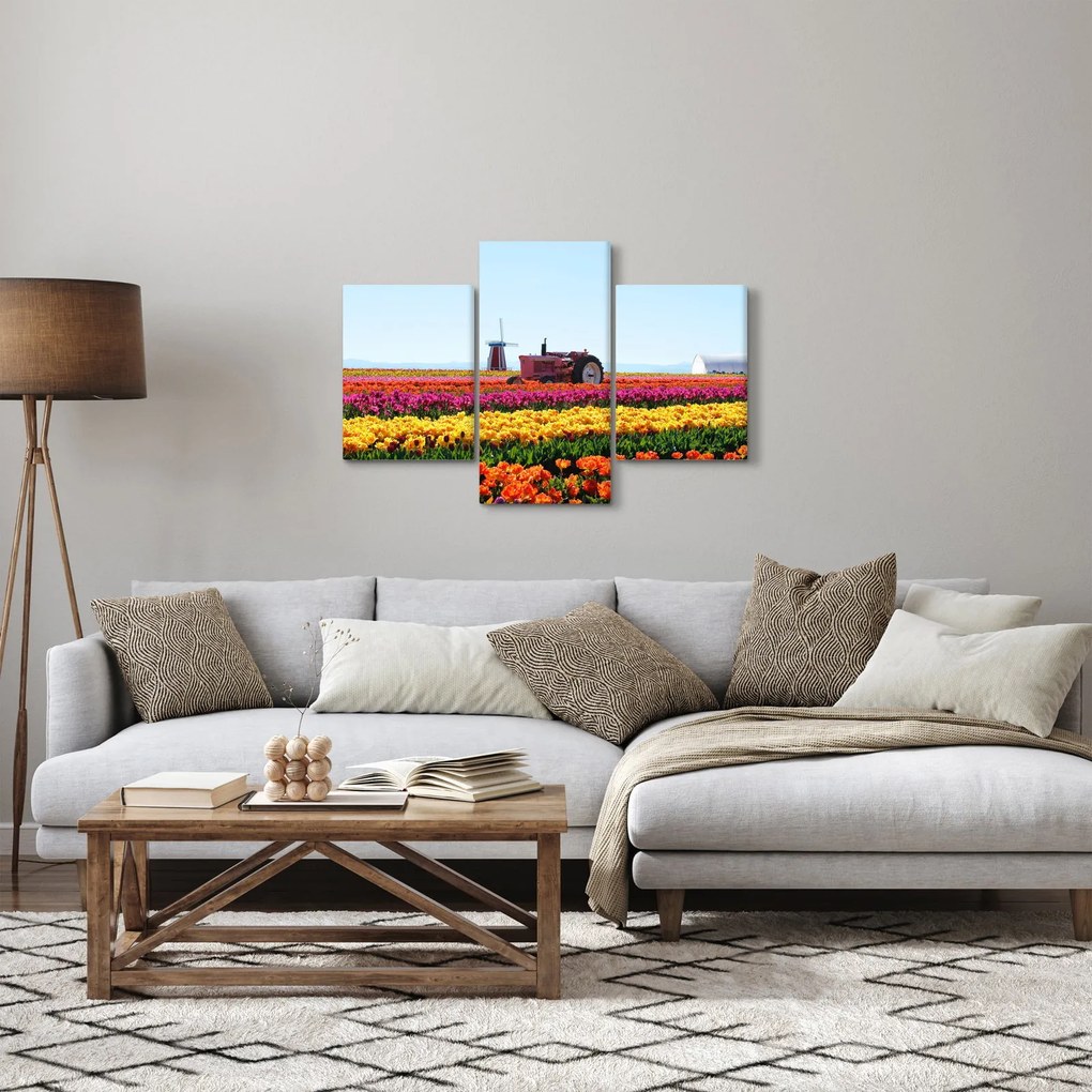Obraz tulipánové farmy (90x60 cm)