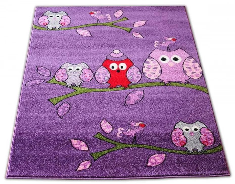 Detský koberec Sovy fialový, Velikosti 240x330cm