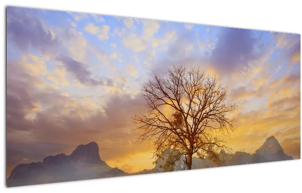 Obraz - Krajina so slnečnicami (120x50 cm)