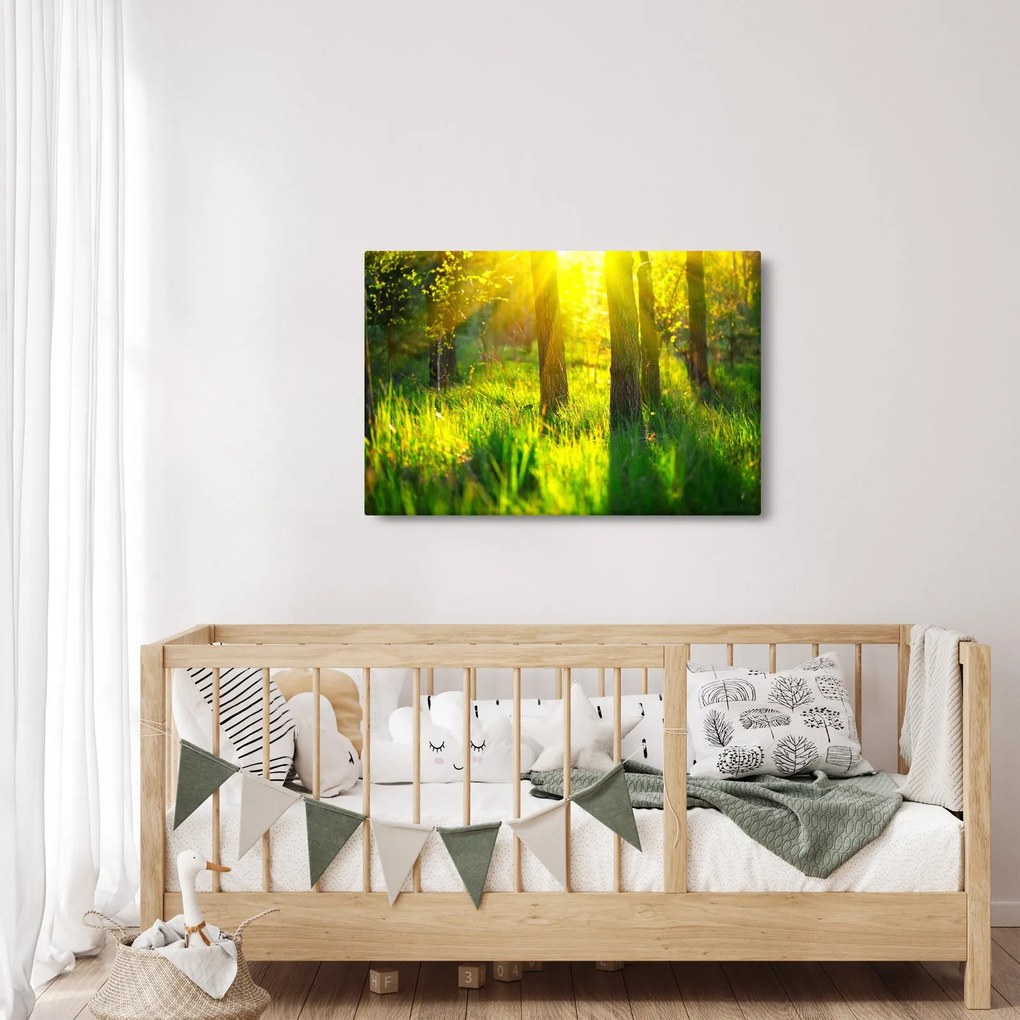 Obraz - Jarné prebúdzanie lesa (90x60 cm)