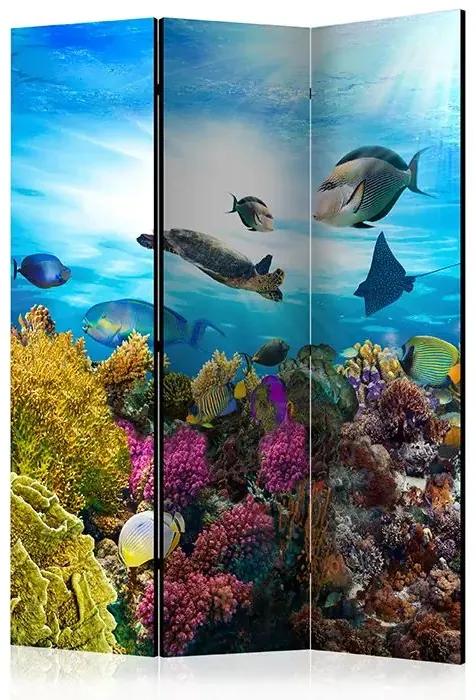 Paraván - Coral reef [Room Dividers] Veľkosť: 135x172, Verzia: Akustický