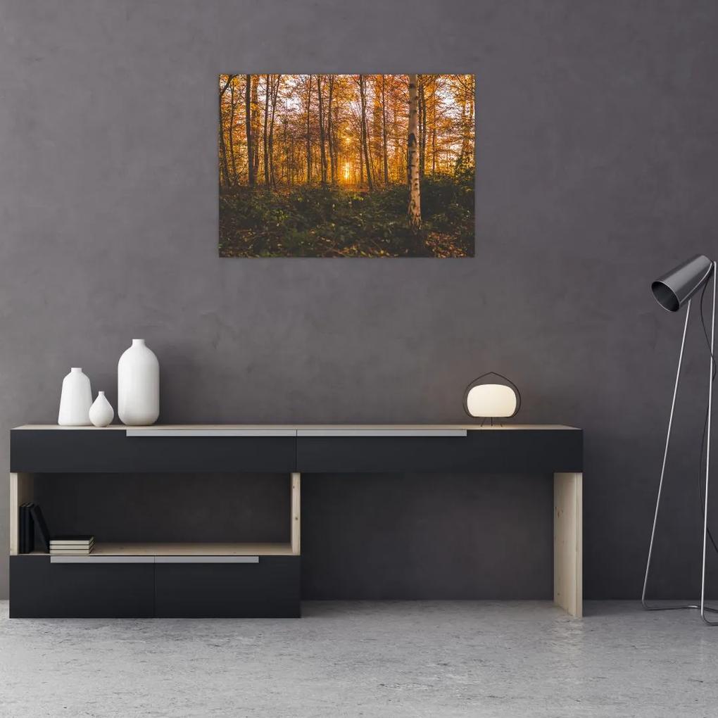 Sklenený obraz jesenného lesa (70x50 cm)