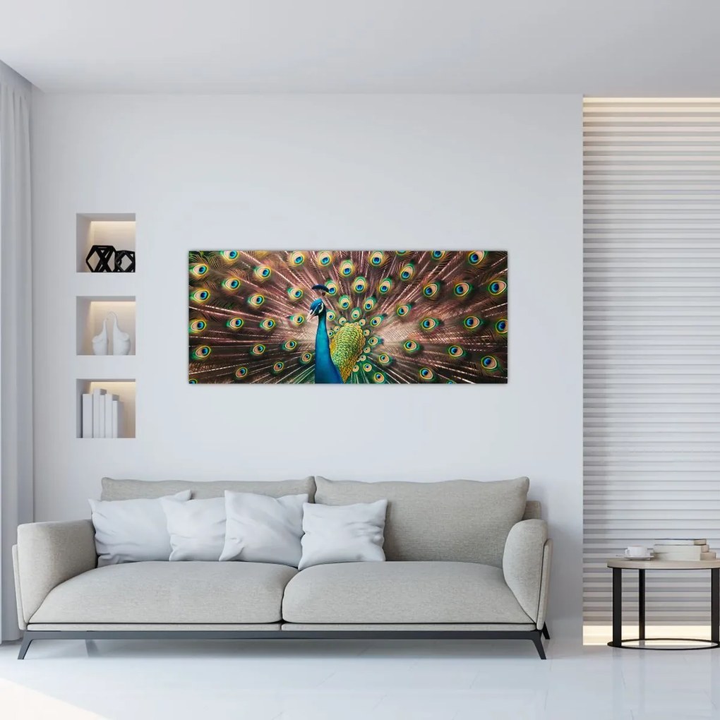 Obraz - Páv (120x50 cm)
