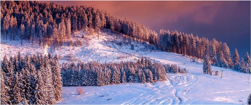 Obraz zimnej krajiny (120x50 cm)