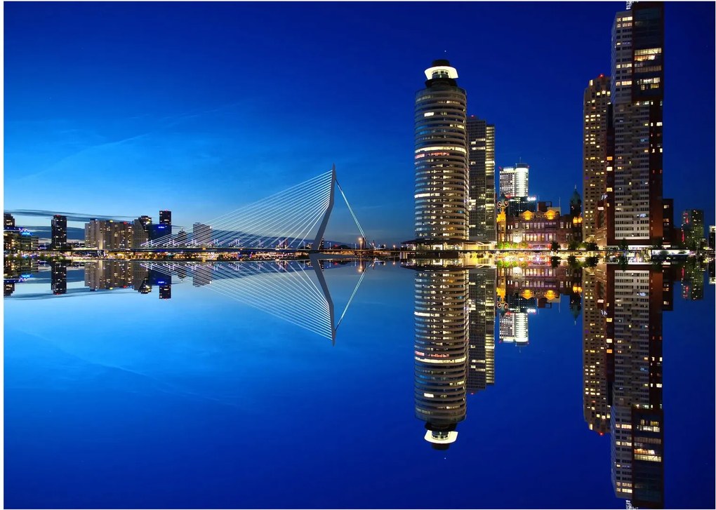 Obraz - nočný Rotterdam (70x50 cm)