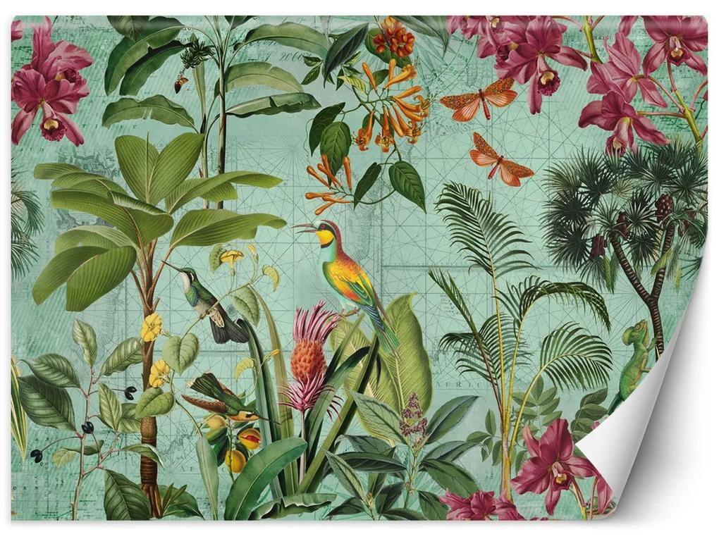 Gario Fototapeta Vtáky v tropických listoch - Andrea Haase Materiál: Vliesová, Rozmery: 200 x 140 cm