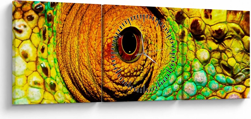 Obraz - Chameleon (s hodinami) (90x30 cm)