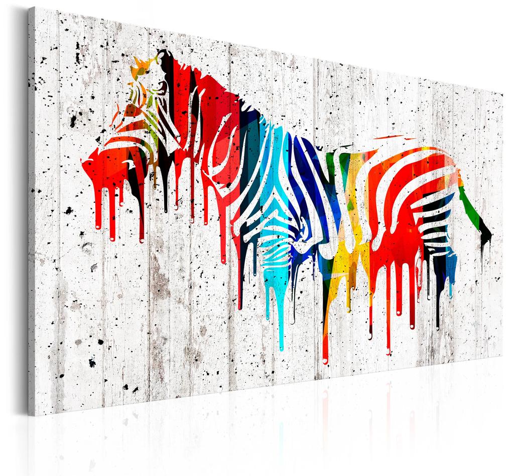 Artgeist Obraz - Colourful Zebra Veľkosť: 120x80, Verzia: Premium Print