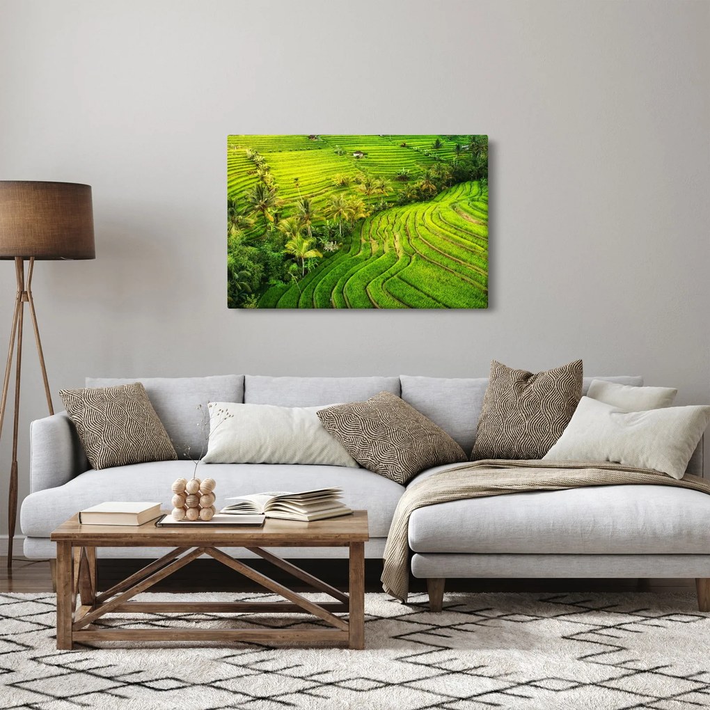 Obraz - Ryžové terasy (90x60 cm)