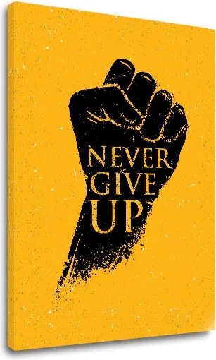 Motivačný obraz na stenu Never give up