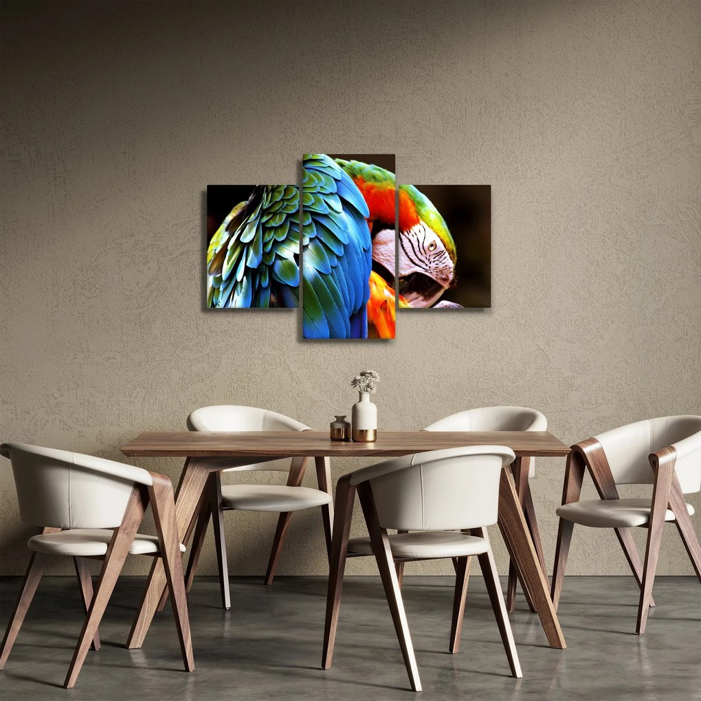 Obraz - Papagáj (90x60 cm)