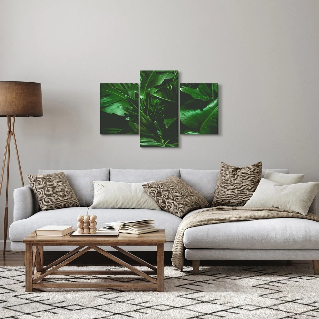 Obraz - Palmové listy (90x60 cm)