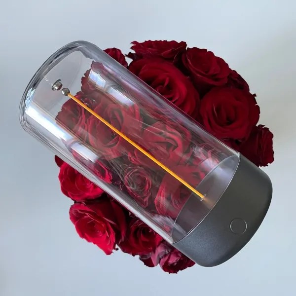 Zuma Line 1001 - LED Stmievateľná nabíjacia lampa ESTERNO LED/0,5W/230V čierna IP54