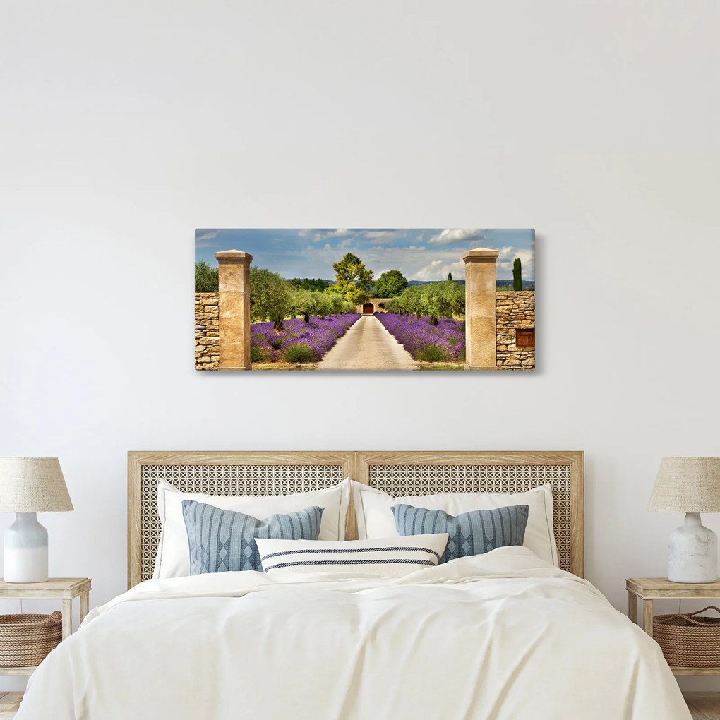 Obraz - Levanduľové cesty (120x50 cm)