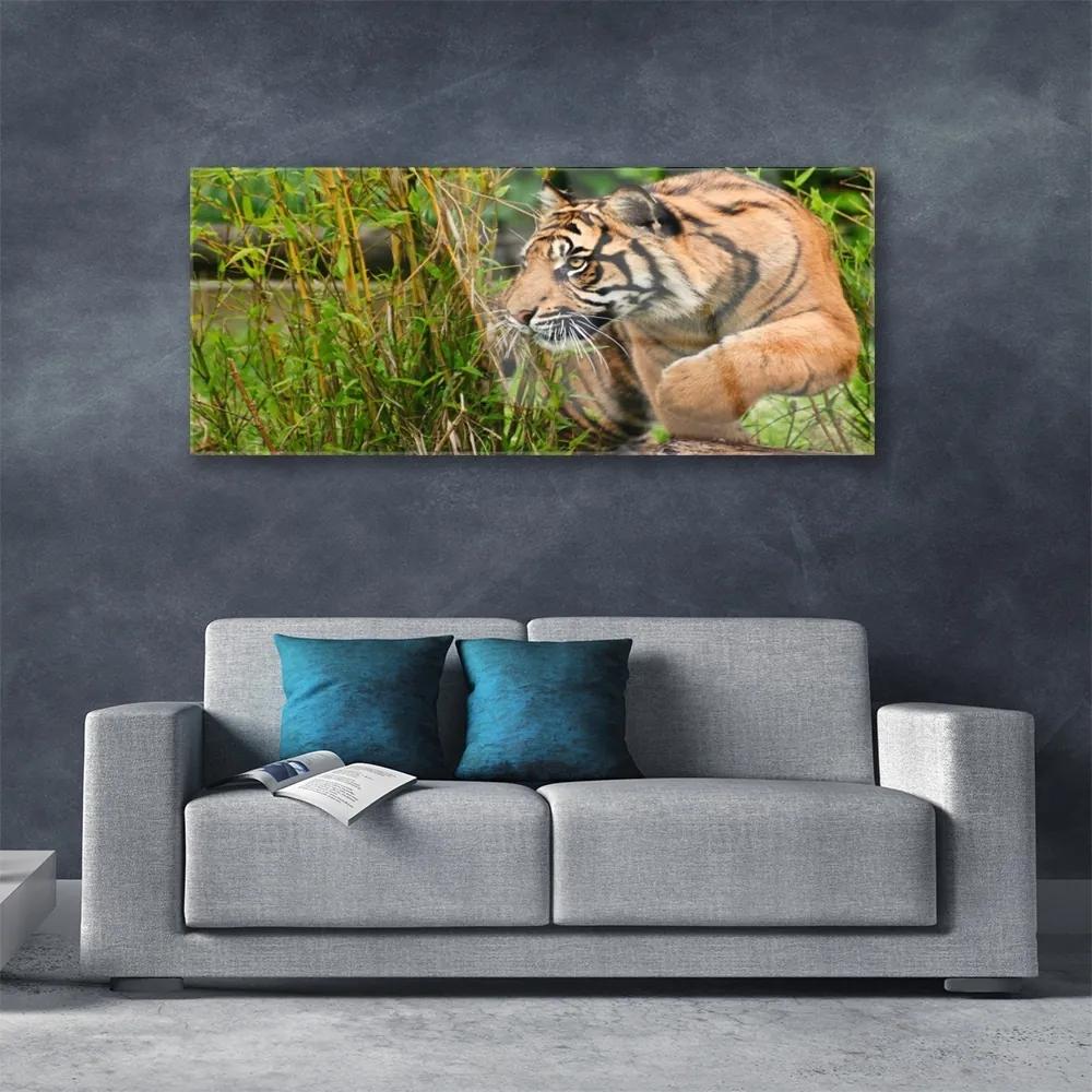 Obraz plexi Tiger zvieratá 125x50 cm