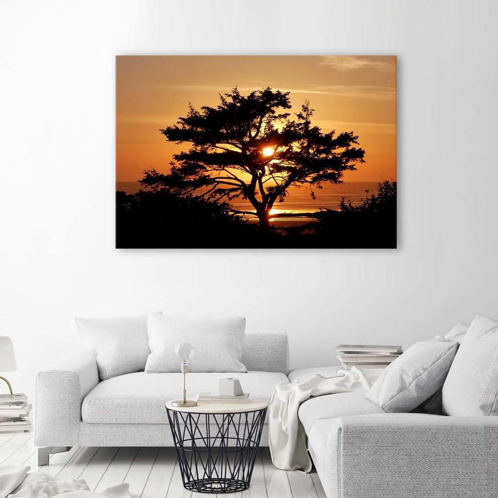 Gario Obraz na plátne Strom pri mori pri západe slnka Rozmery: 60 x 40 cm