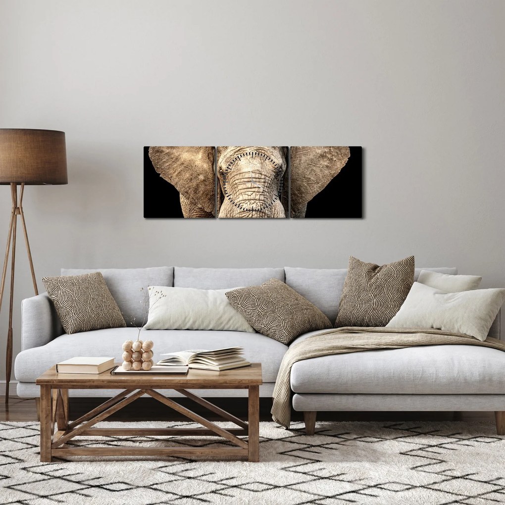Obraz - Slon africký (s hodinami) (90x30 cm)
